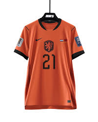 Niederlande und Marokko 1-1